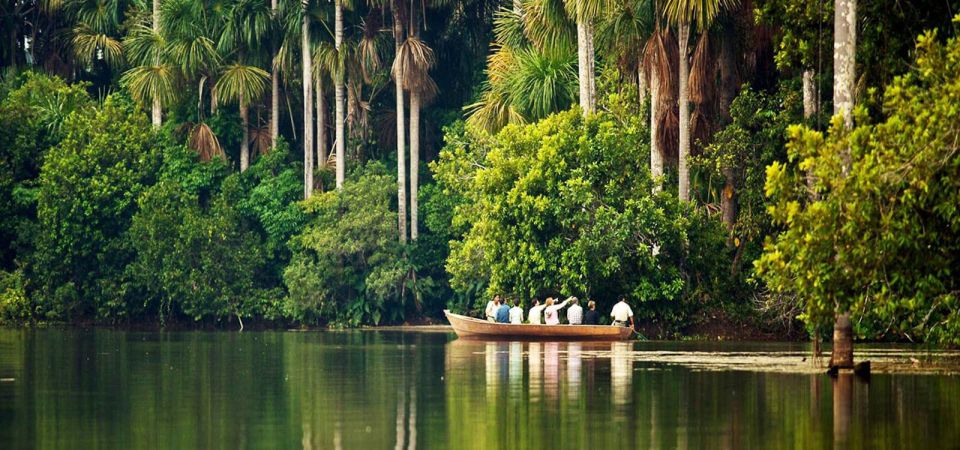 From Puerto Maldonado || Kayak Tour +Monkey Island for 1 Day - Itinerary Details