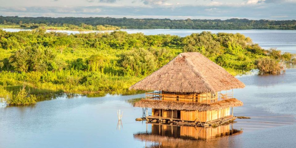 From Puerto Maldonado || Piranha Fishing and Parrot Watching - Key Points
