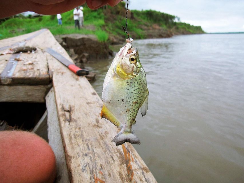 From Puerto Maldonado || Piranha Fishing and Parrot Watching - Unique Experience