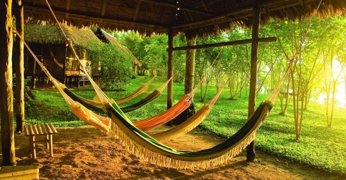 From Puerto Maldonado: Tambopata 3-Day Rainforest Tour - Monkey Island Encounter