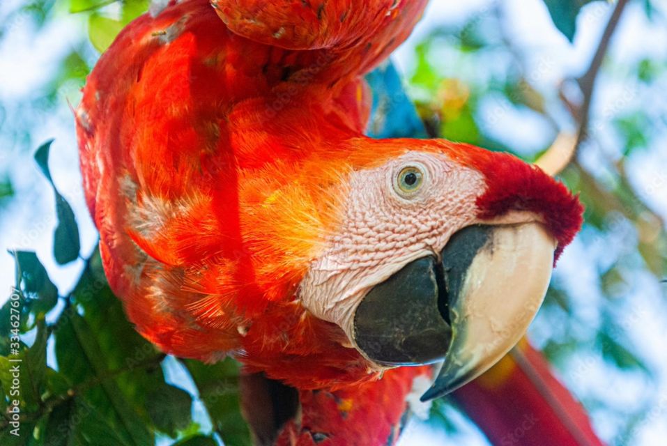 From Puerto Maldonado - Tambopata 4D/3N - Adventure Through Amazon Rivers