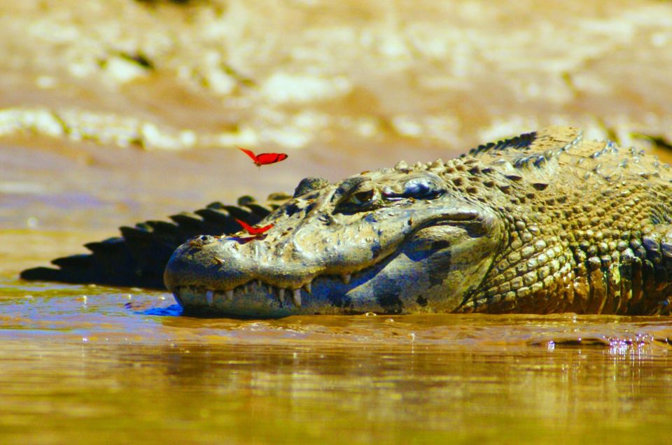 From Puerto Maldonado - Tambopata 4D/3N - Important Considerations