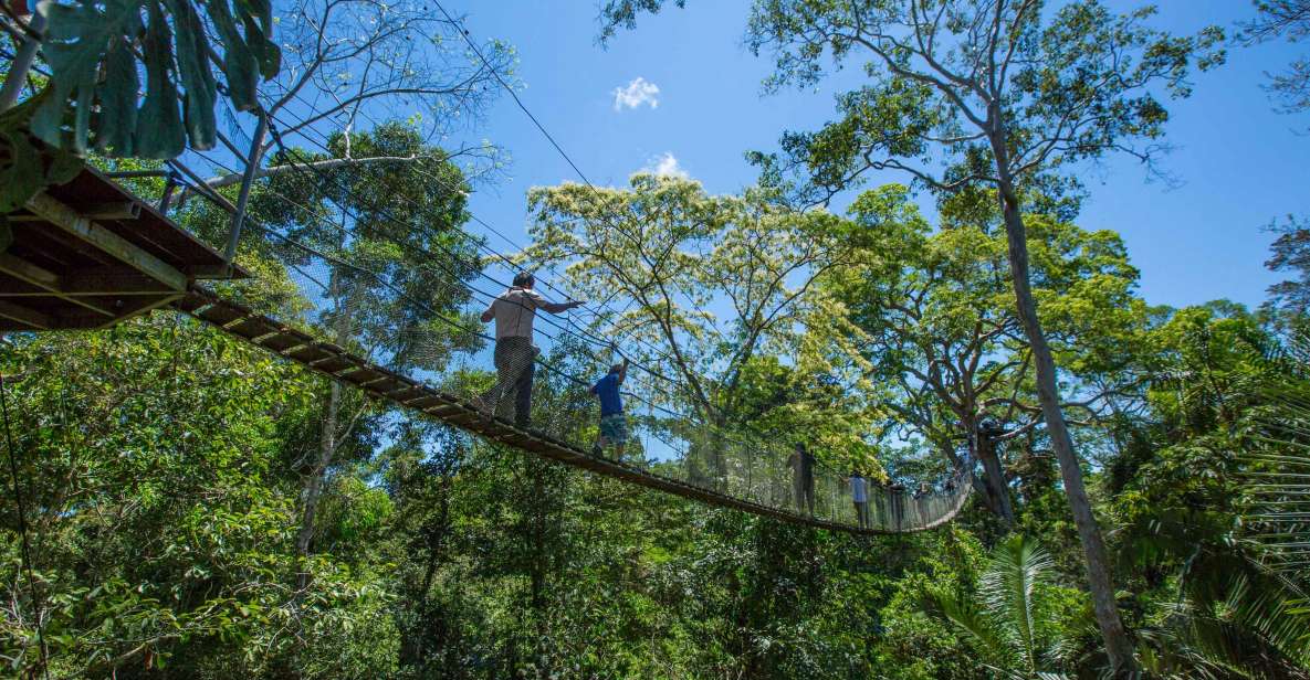 From Puerto Maldonado: Tambopata National Reserve 2-Day Tour - Itinerary: Day 1