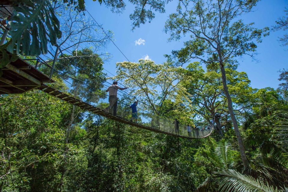 From Puerto Maldonado: Tambopata National Reserve 2-Day Tour - Exclusions