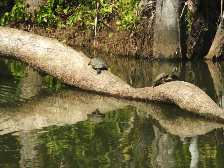 From Puerto Maldonado: Tambopata National Reserve 3-Day Tour - Caiman Safari Adventure