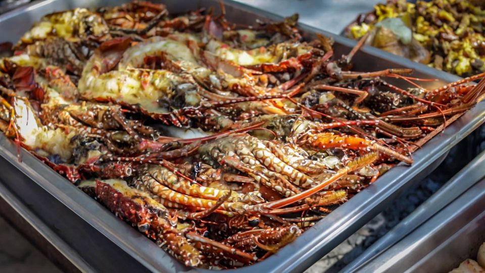 From Puerto Plata: Cayo Arena Private Catamaran Trip & Lunch - Key Points