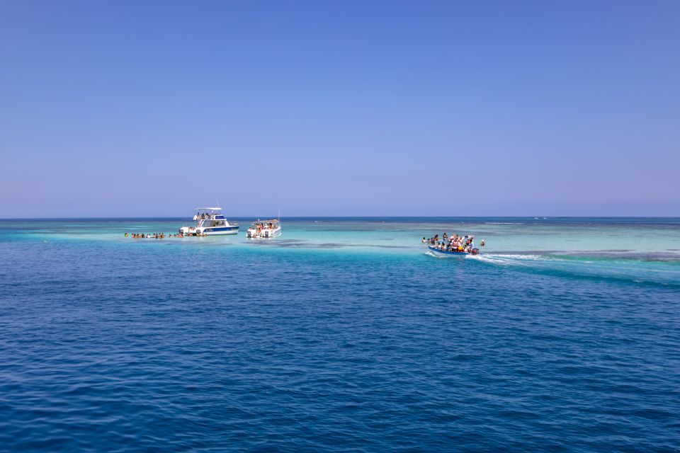 From Puerto Plata: Cayo Arena Private Catamaran Trip & Lunch - Exploring the Artisanal Cigar Factory
