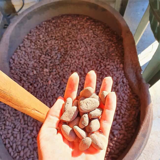 From Puerto Plata Priv: Cocoa, Coffee, Cigars & Local Market - Key Points