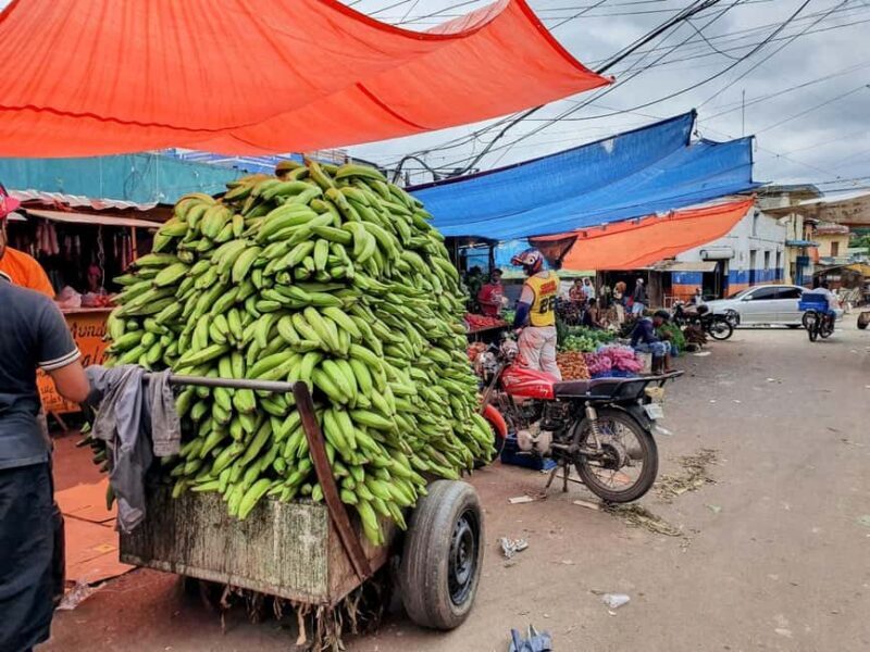 From Puerto Plata Priv: Cocoa, Coffee, Cigars & Local Market - What The Reviews Say