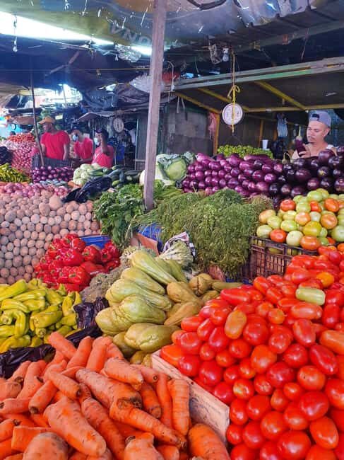 From Puerto Plata Priv: Cocoa, Coffee, Cigars & Local Market - Practical Tips