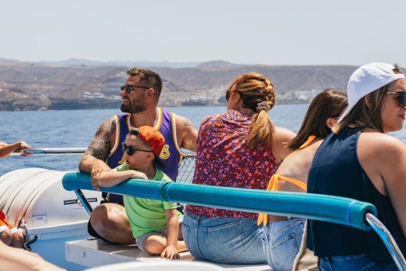 From Puerto Rico de Gran Canaria: Dolphin Watching Cruise - Who Is This Tour Best Suited For?
