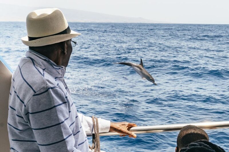 From Puerto Rico de Gran Canaria: Dolphin Watching Cruise - FAQ