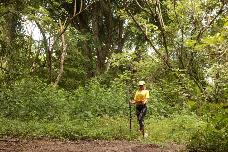 From Puerto Vallarta: 2-Hour Guided Sierra Vallejo Hike - Highlights