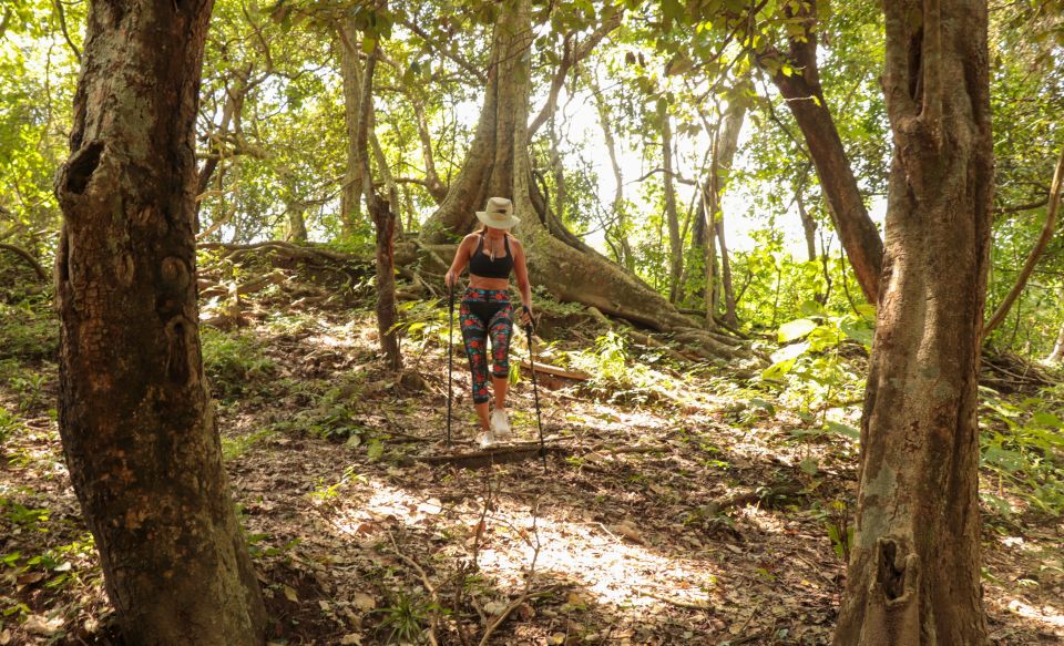 From Puerto Vallarta: 2-Hour Guided Sierra Vallejo Hike - Exclusions