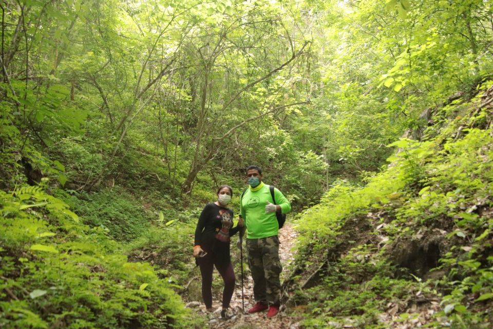 From Puerto Vallarta: 2-Hour Guided Sierra Vallejo Hike - General Information