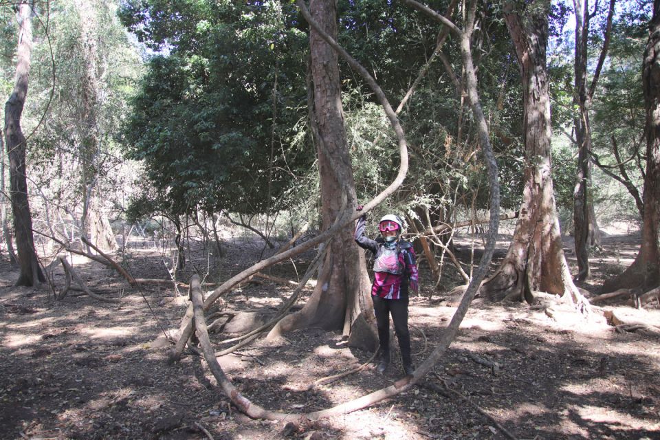From Puerto Vallarta: 2-Hour Guided Sierra Vallejo Hike - Frequently Asked Questions