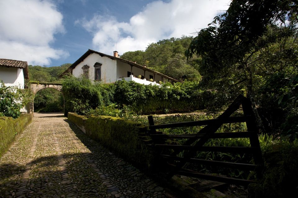 From Puerto Vallarta: Full-Day Tour to San Sebastian - Restrictions