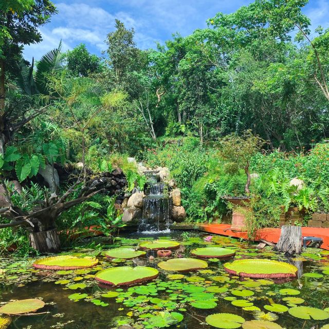 From Puerto Vallarta: Hiking to Vallarta Botanical Garden - Rescued Animal Sanctuary