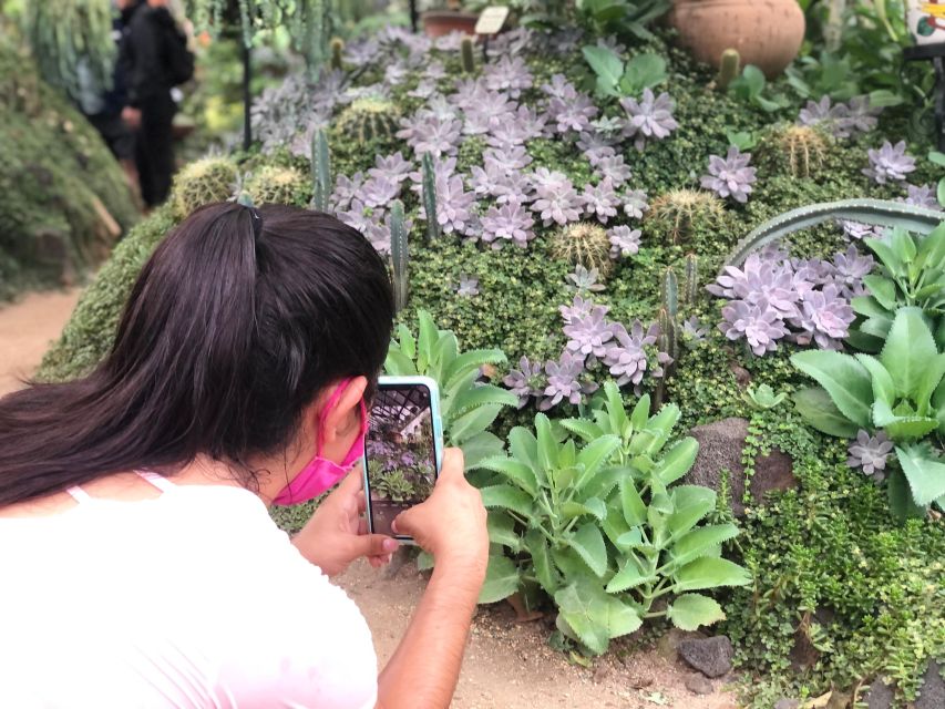 From Puerto Vallarta: Hiking to Vallarta Botanical Garden - River Activities