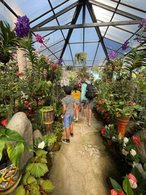 From Puerto Vallarta: Hiking to Vallarta Botanical Garden - Important Considerations
