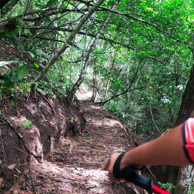 From Puerto Vallarta: Hiking to Vallarta Botanical Garden - Frequently Asked Questions
