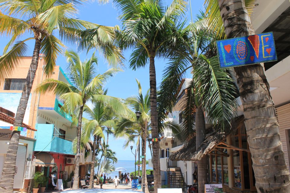 From Puerto Vallarta: San Pancho and Sayulita - Activities in San Pancho