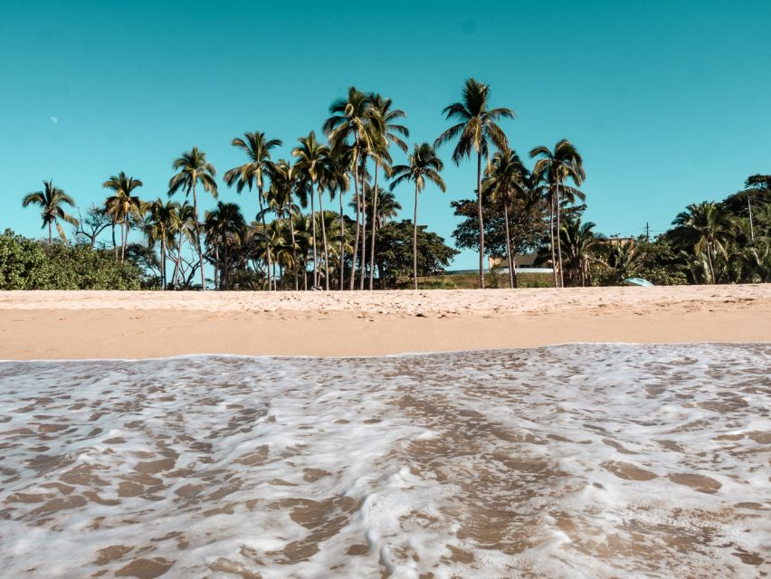 From Puerto Vallarta: San Pancho and Sayulita - Frequently Asked Questions