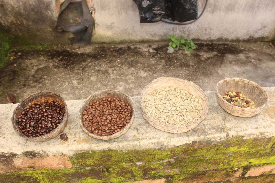 From Puerto Vallarta: San Sebastian Del Oeste With Lunch - Organic Tequila Factory Visit
