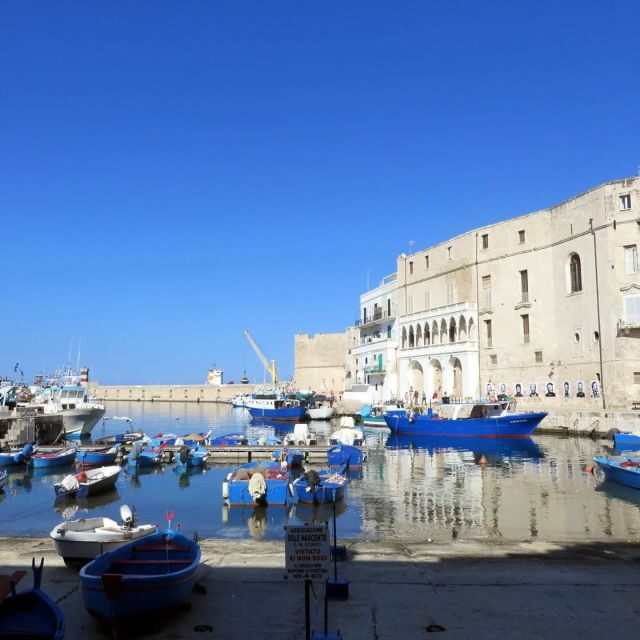 From Puglia: Local Towns Historic Centers Private Tour - Scenic Views and Panoramics