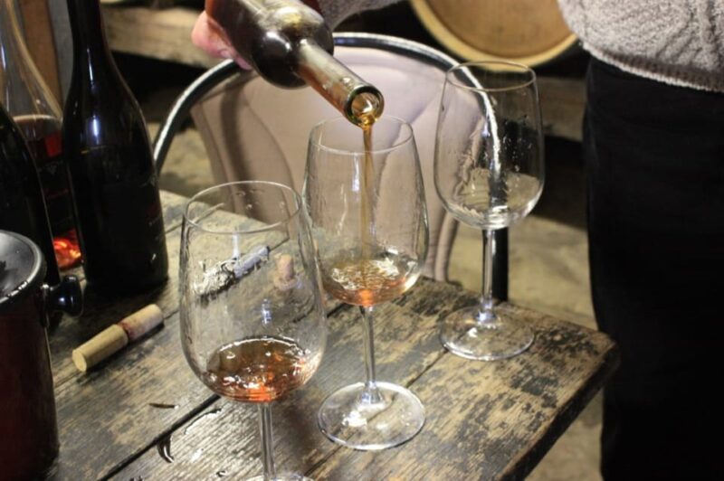 From Pula or Rovinj: Istrian Wine Express Tour - Good To Know