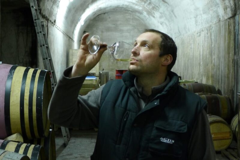 From Pula or Rovinj: Istrian Wine Express Tour - Wine Tasting Experiences