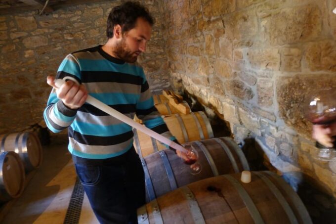 From Pula or Rovinj: Istrian Wine Express Tour - Participant Requirements