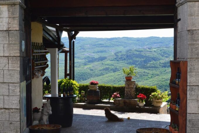 From Pula or Rovinj: Istrian Wine Express Tour - Frequently Asked Questions