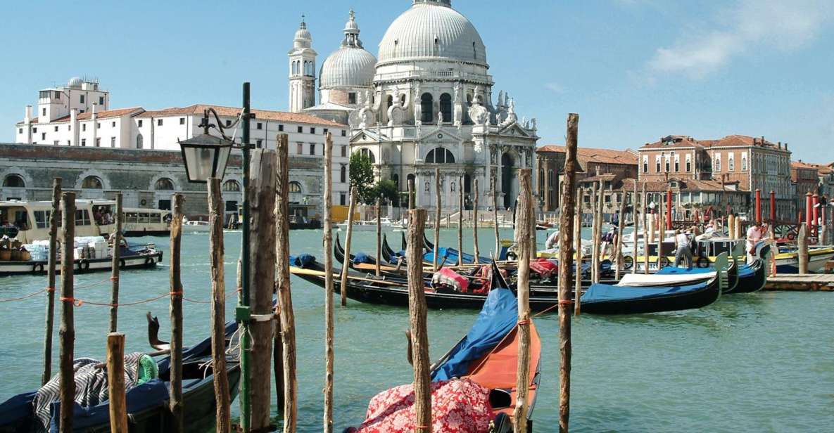 From Pula: Venice Boat Trip With Day or One-Way Option - Travel Tips and Recommendations