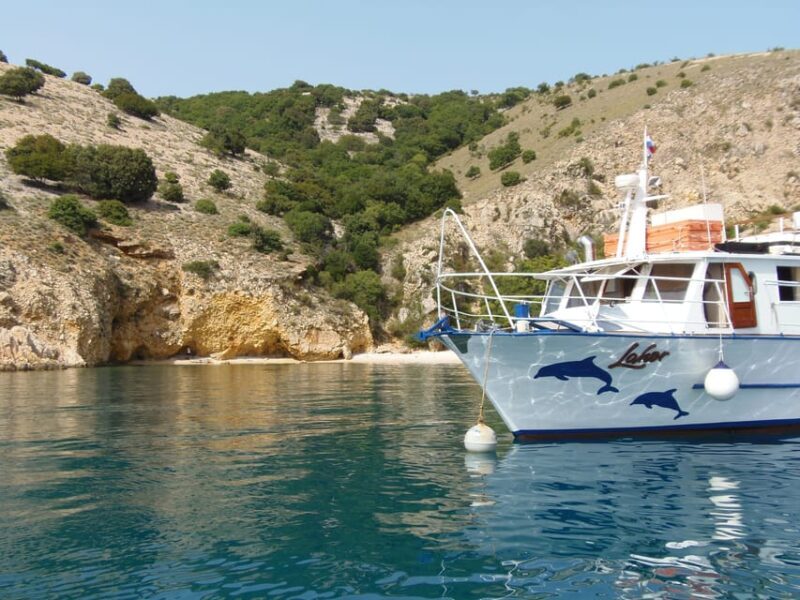 From Punat: Plavnik Island Boat Tour with Lunch - The Sum Up