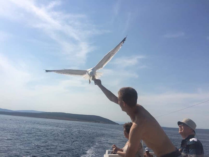 From Punat: Plavnik Island Boat Tour with Lunch - Frequently Asked Questions (FAQs)