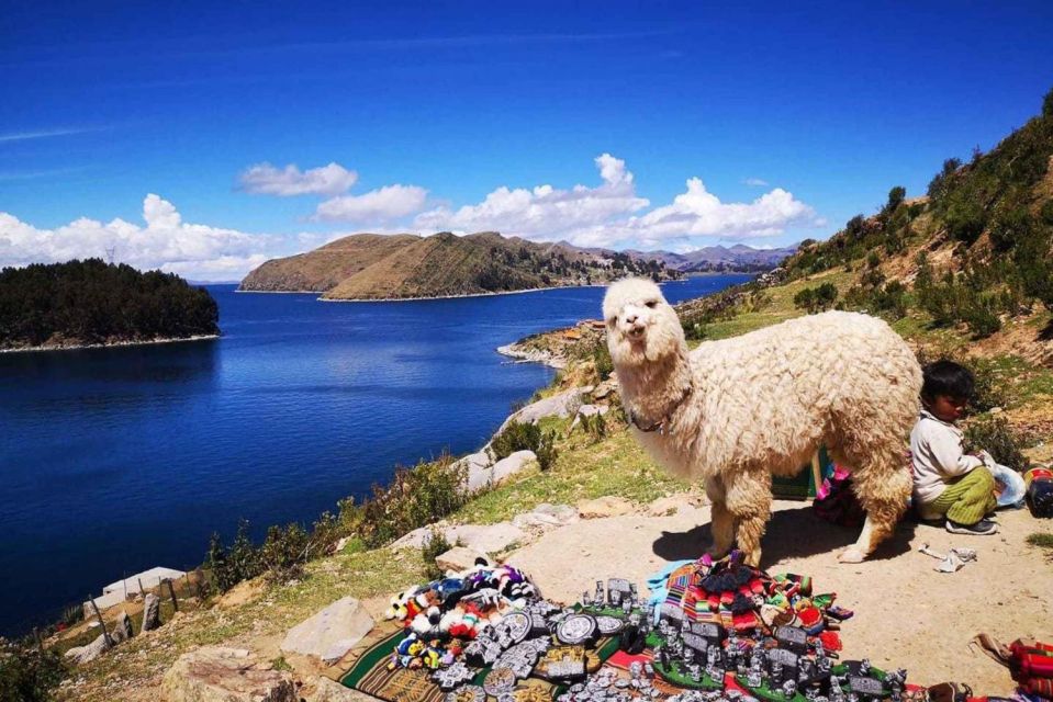 From Puno || Excursion to Copacabana and Sun Island || - Trip Inclusions