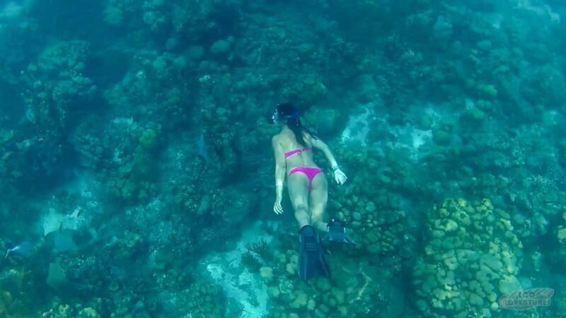 From Punta Cana: Catalina Snorkeling & Altos de Chavon Tour - The Sum Up: Who Is This Tour Best For?