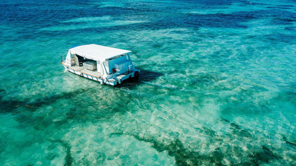 From Punta Cana: Catamaran Cruise With Lunch - Important Details to Know