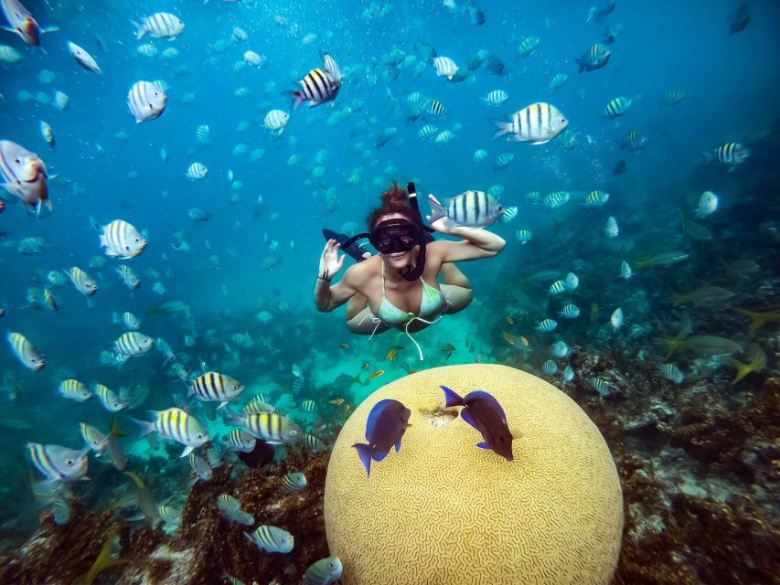 From Punta Cana: Catamaran Cruise With Lunch - Snorkeling in the Coral Reef