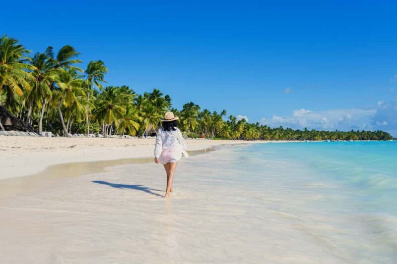 From Punta Cana: Catamaran Tour to Saona Island with Open Bar and Buffet - Key Points