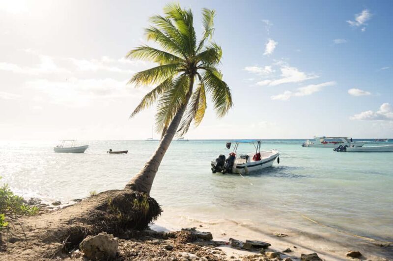 From Punta Cana: Catamaran Tour to Saona Island with Open Bar and Buffet - An Honest Look at the Saona Island Catamaran Tour
