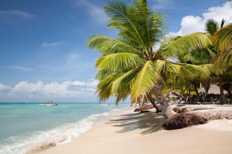 From Punta Cana: Catamaran Tour to Saona Island with Open Bar and Buffet - A Balanced View