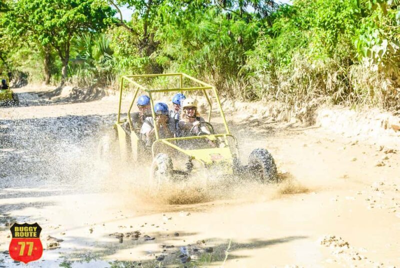 From Punta Cana: Countryside Off-Road Buggy Adventure - Who Would Love This Tour?