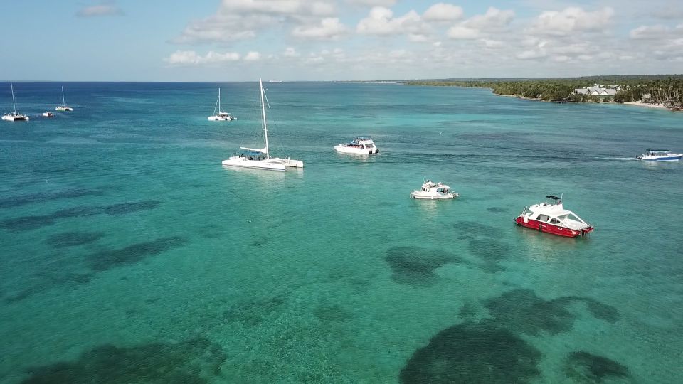 From Punta Cana: Day Tour to Saona Island With Buffet Lunch - Key Points