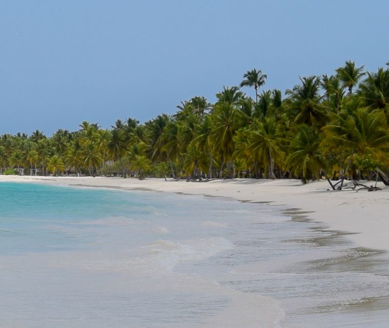 From Punta Cana: Day Tour to Saona Island With Buffet Lunch - Activities and Highlights