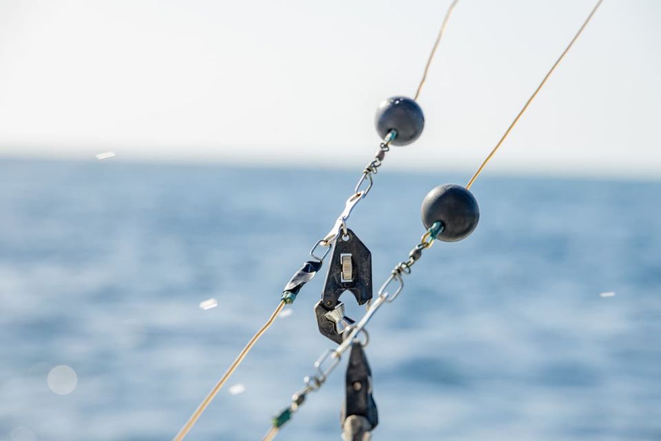 From Punta Cana: Deep Sea Fishing Tour by Boat With Drinks - Experiencing the Wind and Stunning Views
