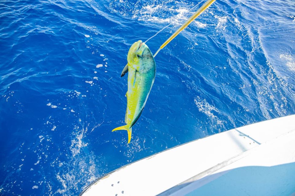 From Punta Cana: Deep Sea Fishing Tour by Boat With Drinks - Frequently Asked Questions