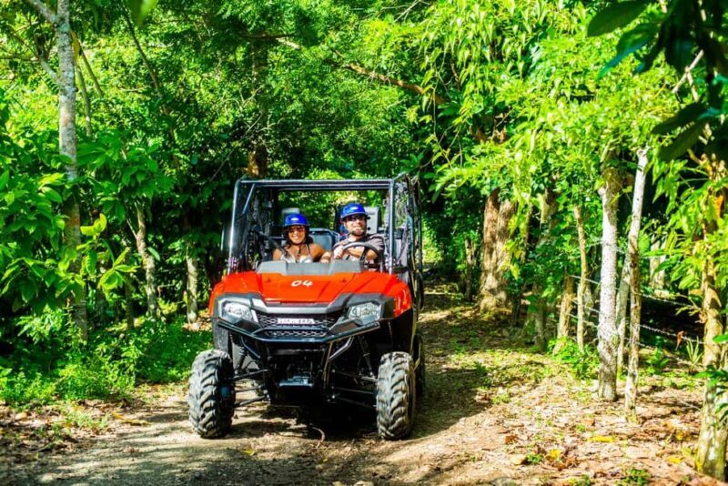 From Punta Cana: Jungle Buggy Adventure to Anamuya River - The Itinerary and What to Expect