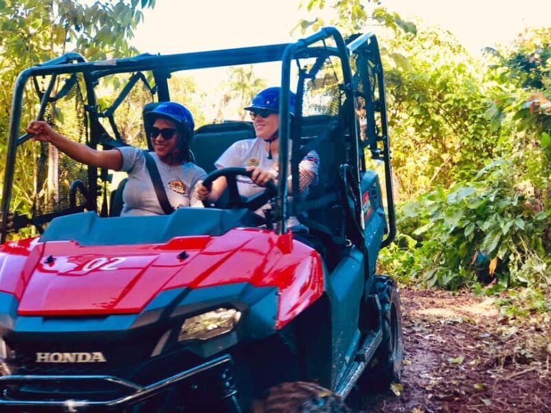 From Punta Cana: Jungle Buggy Adventure to Anamuya River - Potential Drawbacks